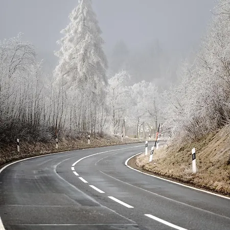 Panorama-traum 47 - Im Harz